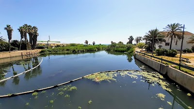 Hoteles en Alboraya con cargadores para coches eléctricos