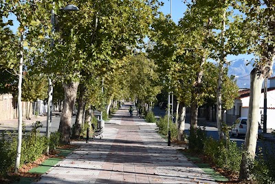 Hoteles en Rosalejo con cargadores para coches eléctricos